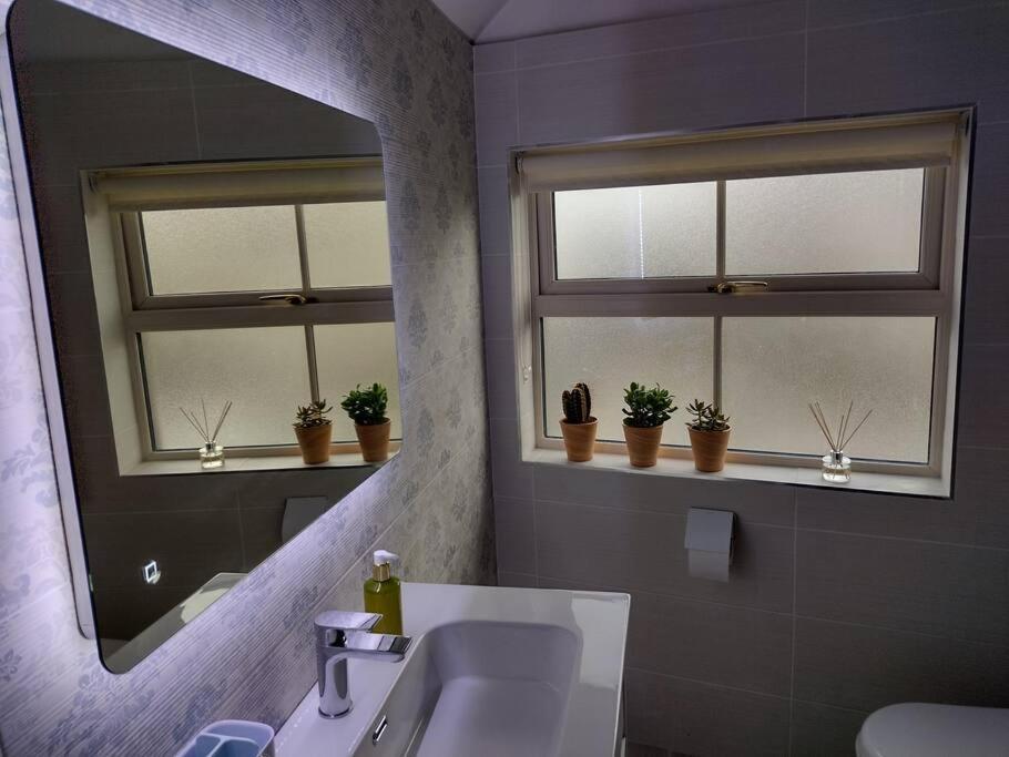 Apartament White Birds Townhouse In Sligo Town Center Zewnętrze zdjęcie